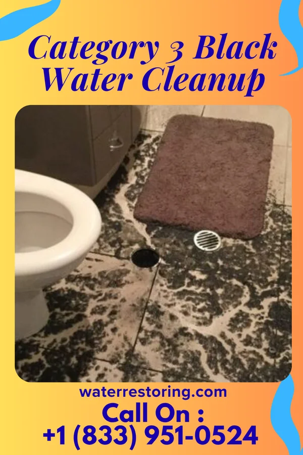 Category 3 Black Water Cleanup in Limestone, IL