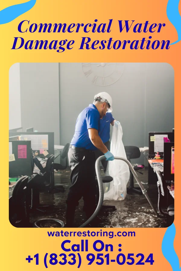 Commercial Water Damage Restoration in Limestone, IL