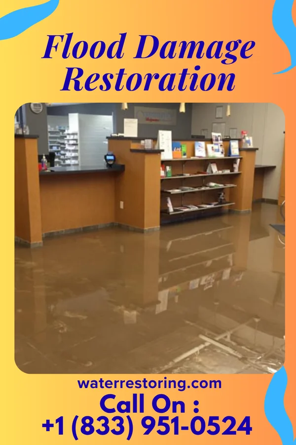 Flood Damage Restoration in Limestone, IL
