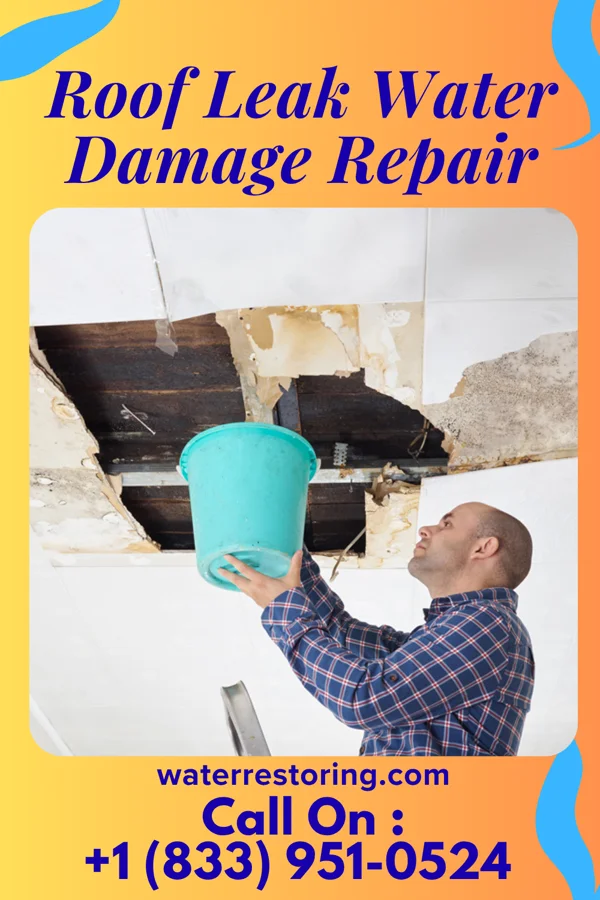 Roof Leak Water Damage Repair in Limestone, IL