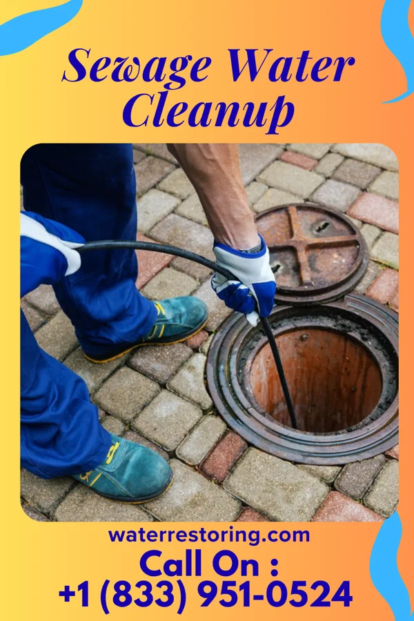 Sewage Water Cleanup in Limestone, IL