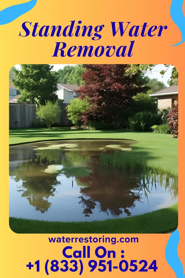 Standing Water Removal in Limestone, IL